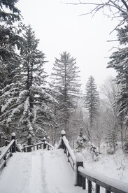 雪乡