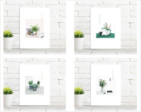 本子封面  静物拾光