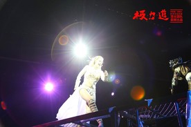 极力道