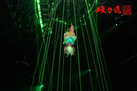 极力道