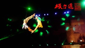极力道