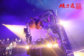 极力道