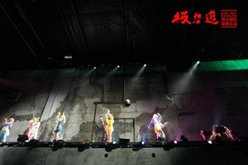 极力道