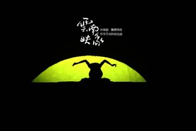 杨丽萍  云南映象