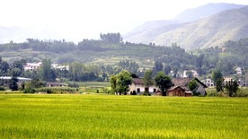 乡村