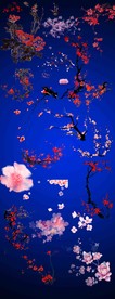 梅花素材PNG.PSD