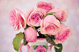 玫瑰花