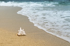 海边