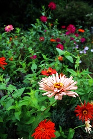 花