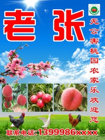 老张农家乐