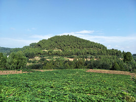 农村风光