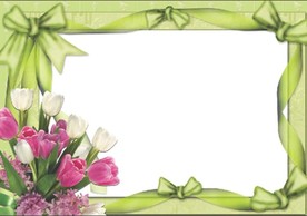 可爱  相册  相框  小清新