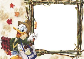 相册  相框  相片  图片