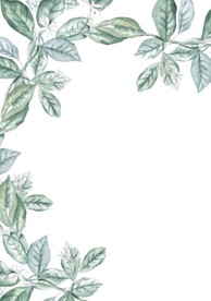 相册  相框  相片  图片