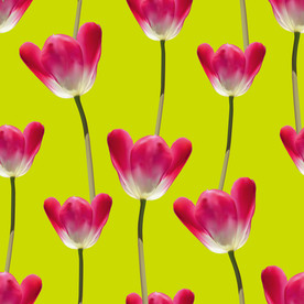 矢量鲜花花卉花纹