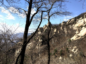 山坡风景图