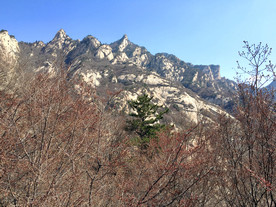 山坡美景