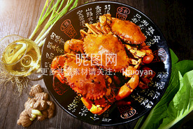 螃蟹阳澄湖美味大闸蟹高清背景