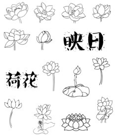 荷花