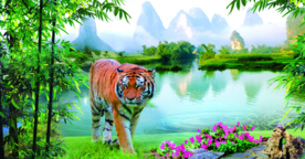 老虎 猛虎图
