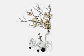 植物干花3d模型