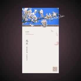 元旦  新年 新春 春节