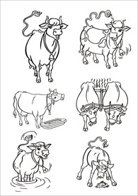 手绘线描小牛