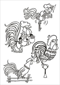 手绘线描小鸡