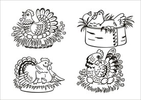 手绘线描小鸡
