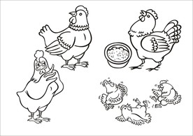 手绘线描小鸡