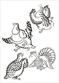 手绘线描小鸡