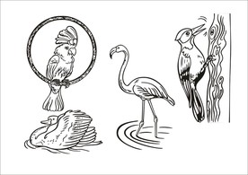 手绘卡通鸟类
