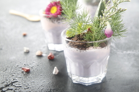 创意盆景冰激凌