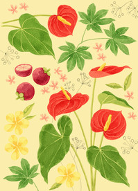手绘花卉底纹