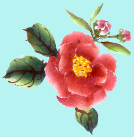 手绘花卉素材