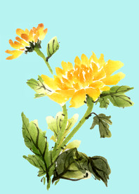 手绘花卉素材
