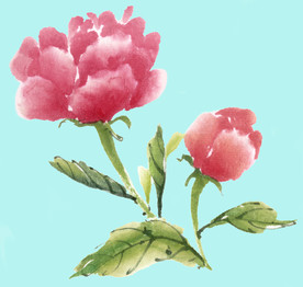 手绘花卉素材