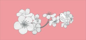 手绘花卉素材