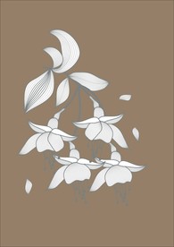手绘花卉素材