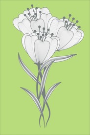 手绘花卉素材