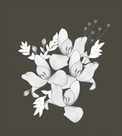 手绘花卉素材