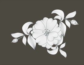 手绘花卉素材