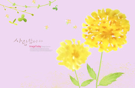 花卉背景素材