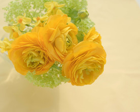 鲜花花朵花卉