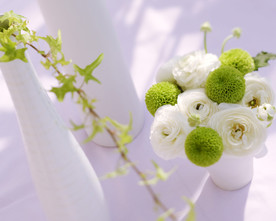 鲜花花朵花卉