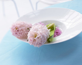 鲜花花朵花卉