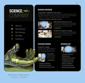 创意网页设计