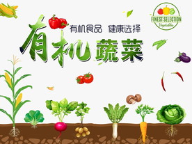有机蔬菜