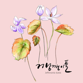 手绘花卉素材