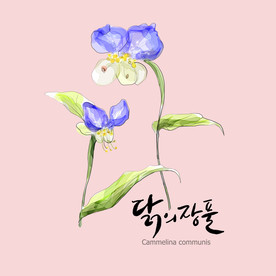 手绘花卉素材